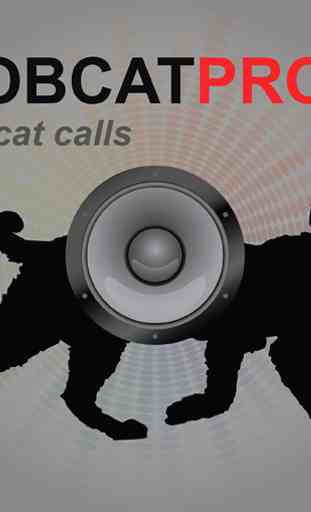 Bobcat Calls for Hunting AU 1