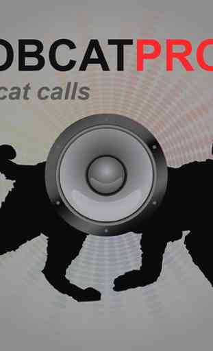Bobcat Calls for Hunting AU 3