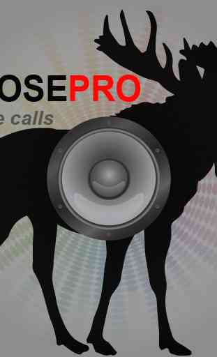 Moose Calls for Hunting Moose 3
