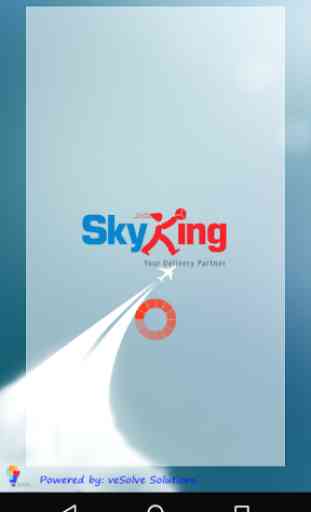 SkyKing Courier Service 3