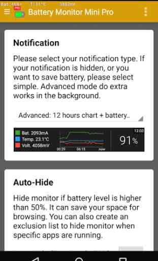 Battery Monitor Pro Mini 2