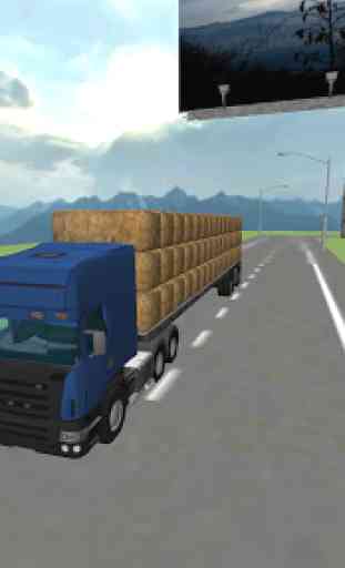 Hay Truck 3D: Ville 1