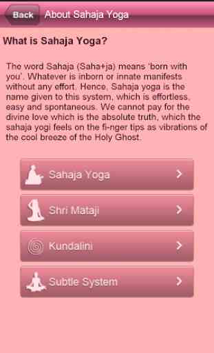 Sahaja Yoga - India 4