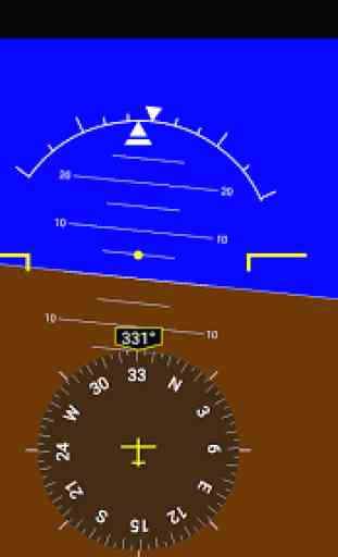 Flight Simulator Display 1