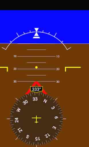Flight Simulator Display 3