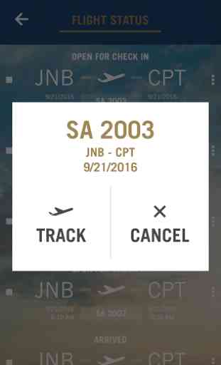 South African Airways 3
