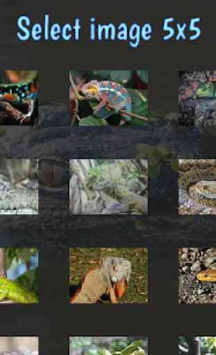 Tile Puzzles · Reptiles 1