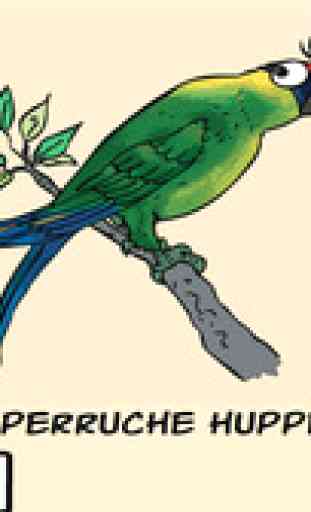 Les oiseaux du Caillou - NC 2