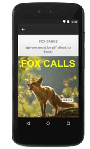 Predator Calls -Fox Hunting AU 3