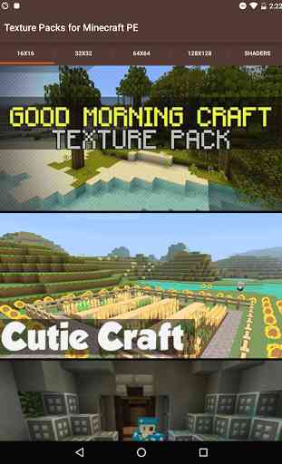 Texture Pack for Minecraft PE 4