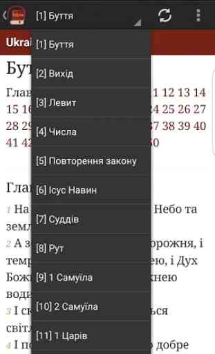Ukrainian Bible 4
