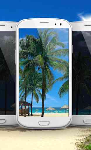 Beach Palms 3D Live Wallpaper 1