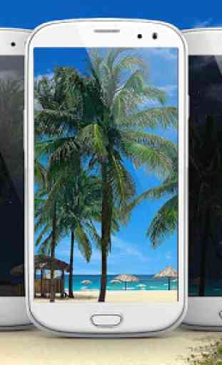 Beach Palms 3D Live Wallpaper 2