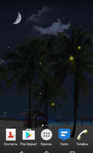 Beach Palms 3D Live Wallpaper 4