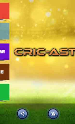 CricAstics 3D Cricket Game 2