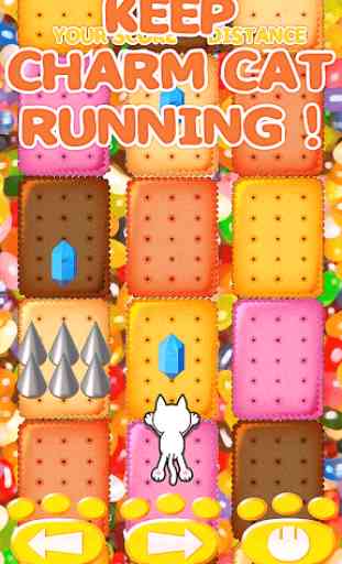 Charm Cat Run - Nyan Neko King 2