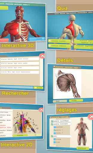 Easy Anatomy 3D(learn anatomy) 1