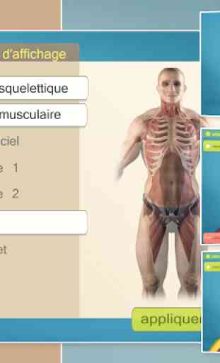 Easy Anatomy 3D(learn anatomy) 3