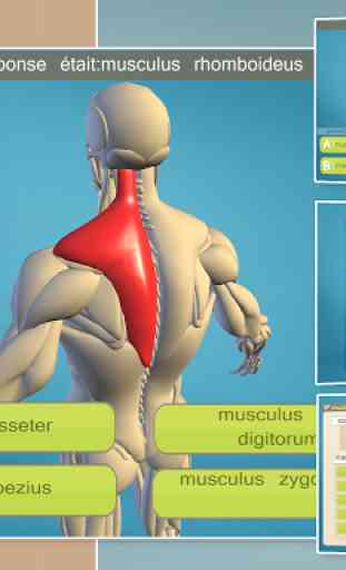 Easy Anatomy 3D(learn anatomy) 4