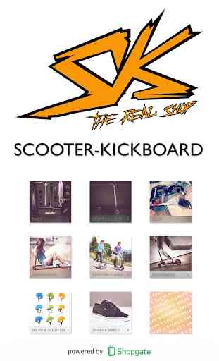 scooter-kickboard 1
