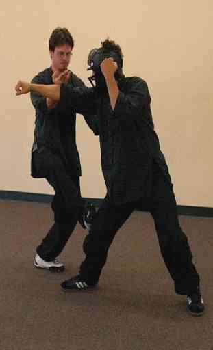 Wing Chun 2