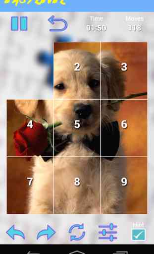 Puppies Jigsaw Puzzles 2