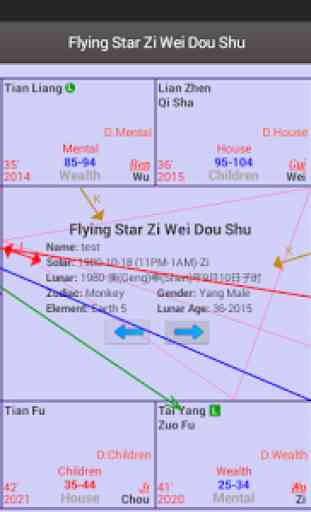 Flying Star Zi Wei Dou Shu EN 3
