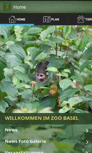 Zoo Basel 1