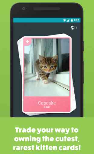 Kitten Cards 3