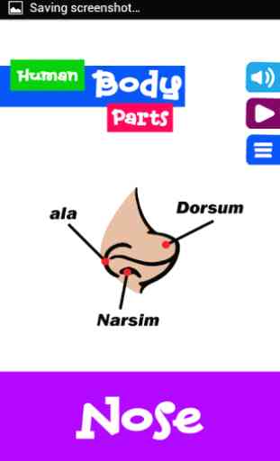 Learning Human Body Parts 1