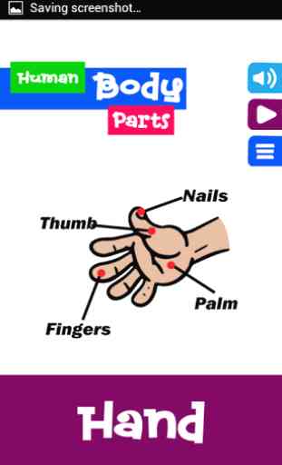 Learning Human Body Parts 3