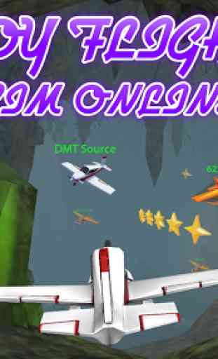 Toy Flight Simulator Online 1