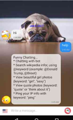 Sumi Chat - Funny Chatbot 3