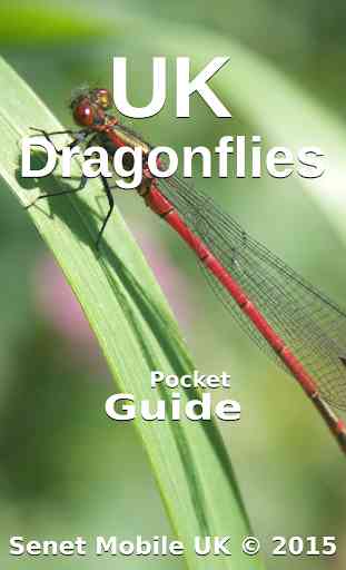 Pocket Guide UK Dragonflies 1