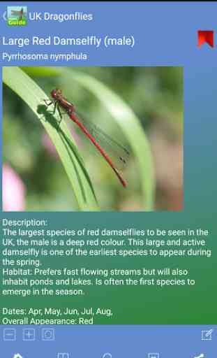 Pocket Guide UK Dragonflies 3