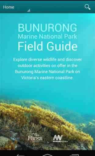 Bunurong Marine Field Guide 1