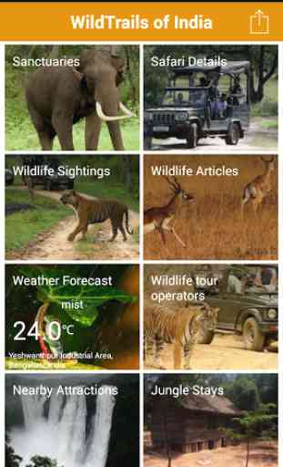 WildTrails India - Wildlife 2