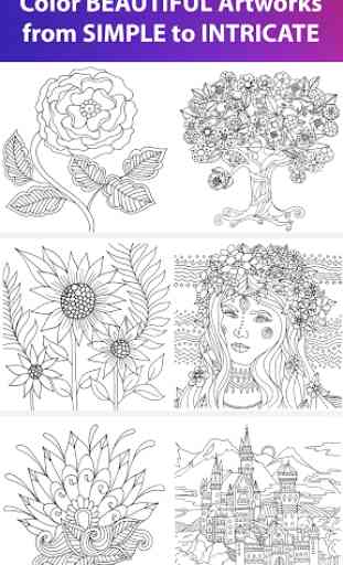 Color Matters: Adult Coloring 4