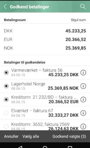 Nordjyske Mobilbank Erhverv 4
