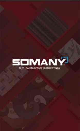 Somany Ceramics Ltd. 1