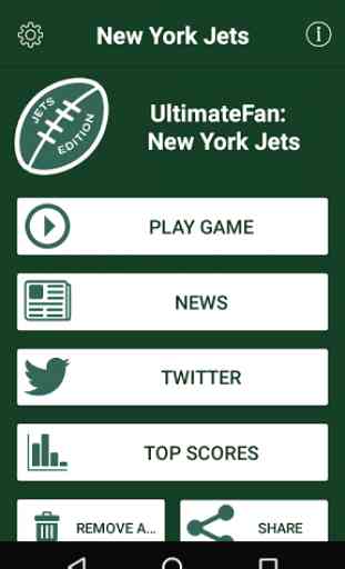 UltimateFan: New York Jets 2