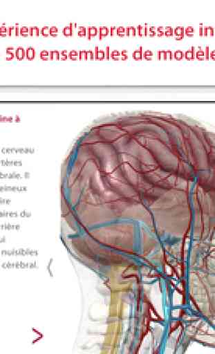 Anatomie & Physiologie 2