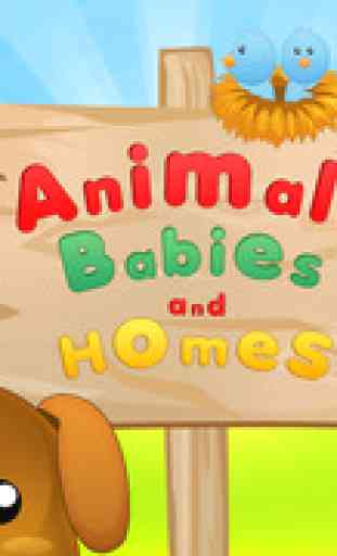 Animals Babies and Homes Free 1