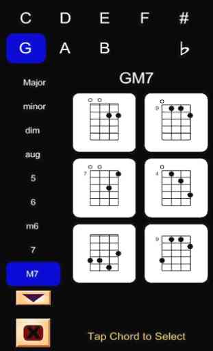 Mandolin Chord Cracker Pro 2