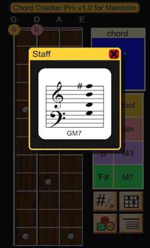 Mandolin Chord Cracker Pro 4