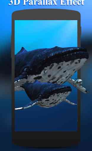 3D Sea Fish Live Wallpaper HD 1