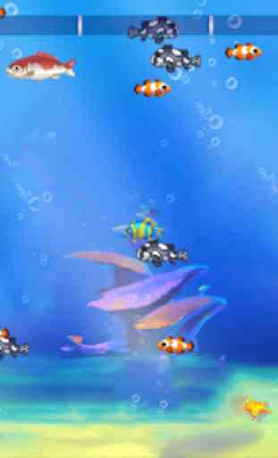 Fish Frenzy Super Classical 3