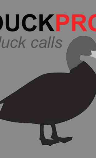 Duck Calls -BLUETOOTH -No Ads 1