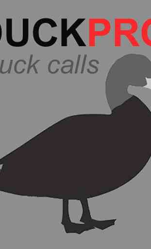 Duck Calls -BLUETOOTH -No Ads 4