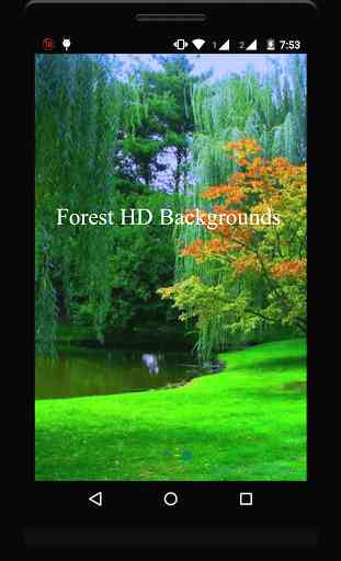 Forest HD Backgrounds 1